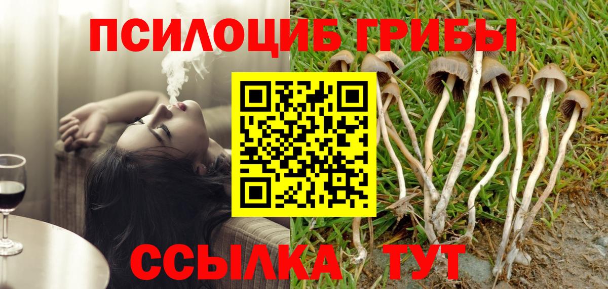 Галлюциногенные грибы мухоморы  Вход с VPN  Галлюциногенные грибы Psilocybe  Шелехов 